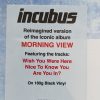 Incubus – Morning View XXIII (2LP) - Imagen 2